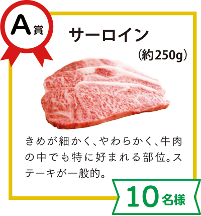 A賞：サーロイン（約250g）【10名様】